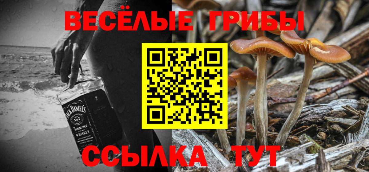 Галлюциногенные грибы мухоморы  Вход с VPN  Белово 